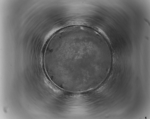 X0000100971035200807011416