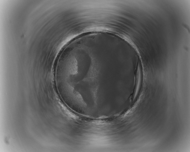 X0000100971037200807011416