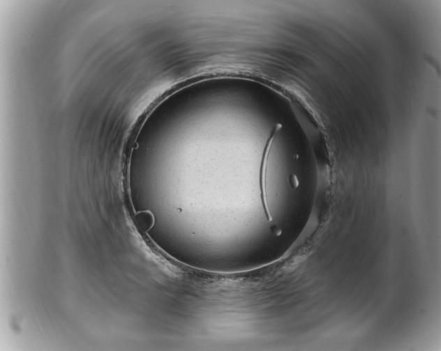 X0000100971038200807011416