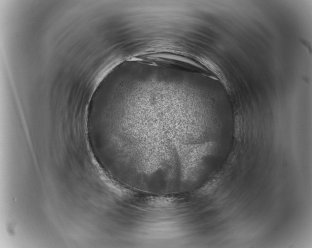 X0000100971039200807011416