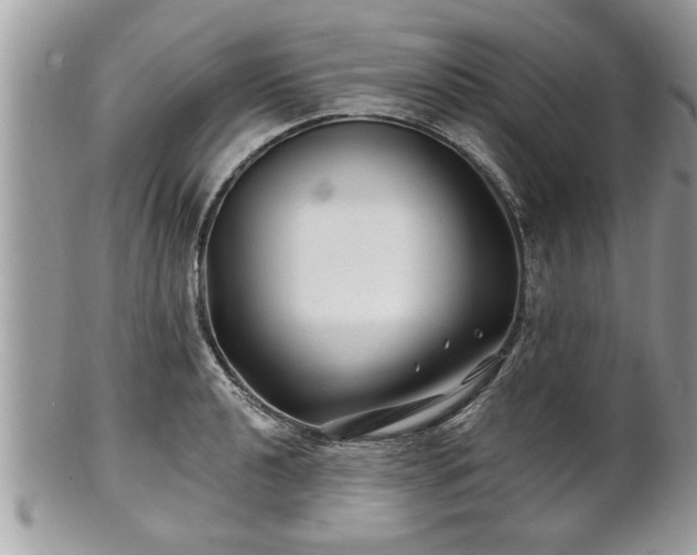 X0000100971040200807011416