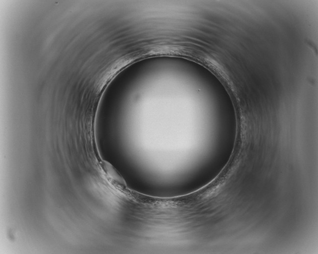 X0000100971041200807011416