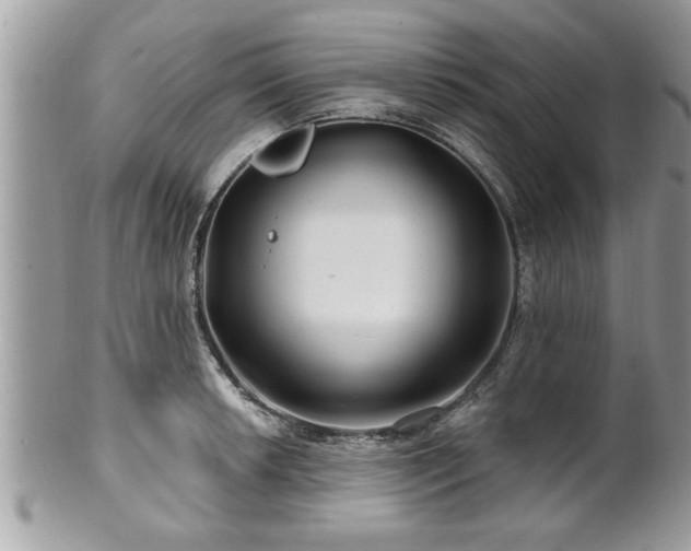 X0000100971042200807011416