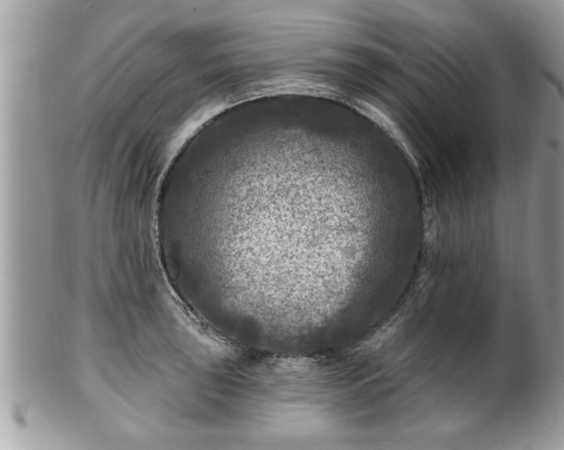 X0000100971043200807011416