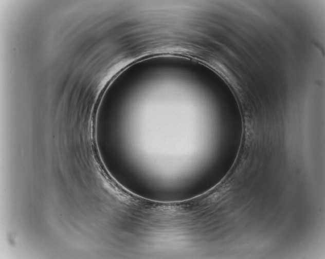 X0000100971044200807011416
