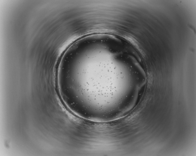X0000100971046200807011416