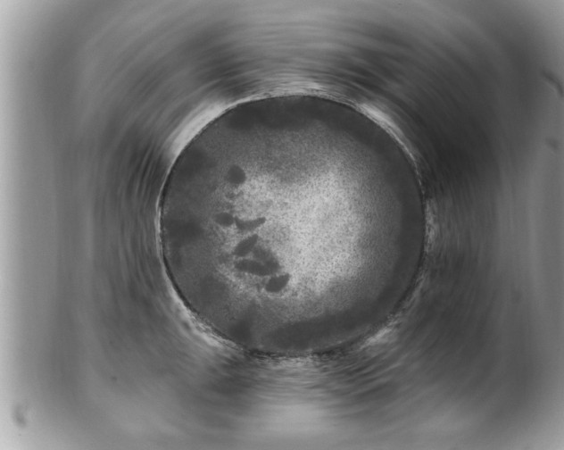 X0000100971047200807011416