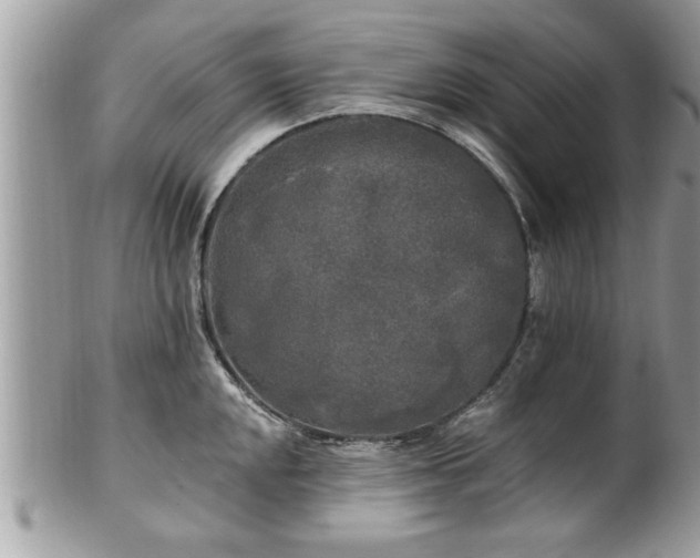 X0000100971048200807011416