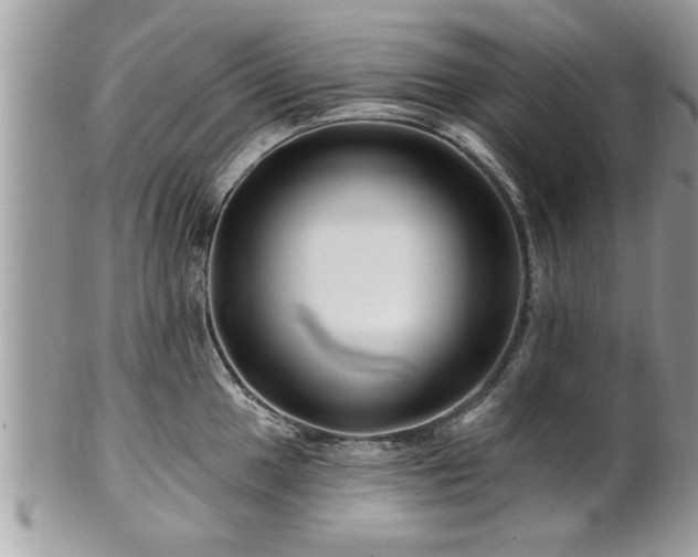 X0000100971049200807011416