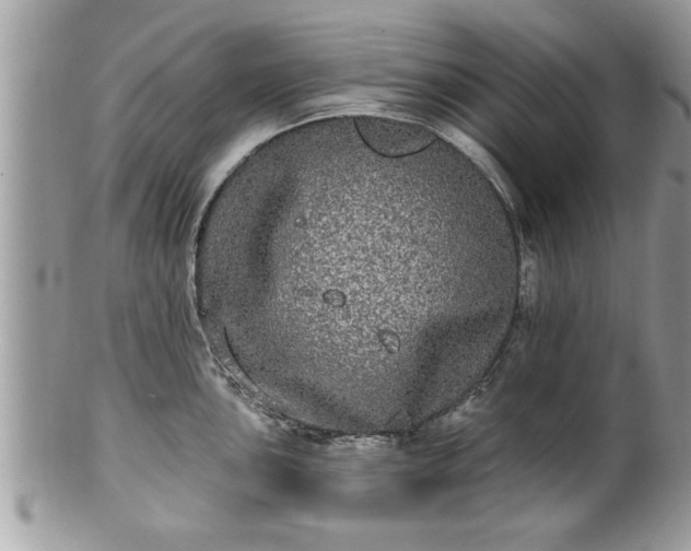 X0000100971051200807011416