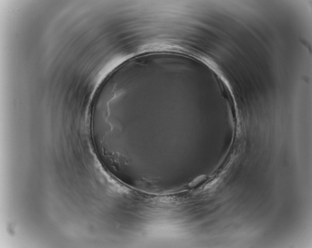 X0000100971053200807011416