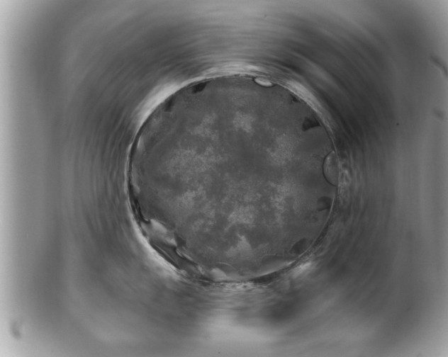 X0000100971055200807011416