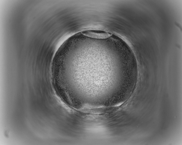 X0000100971056200807011416