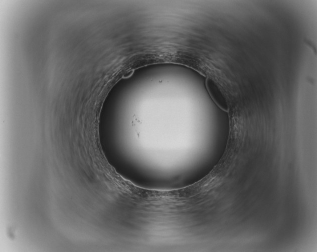 X0000100971057200807011415