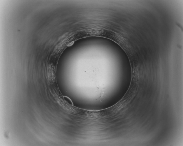 X0000100971058200807011415