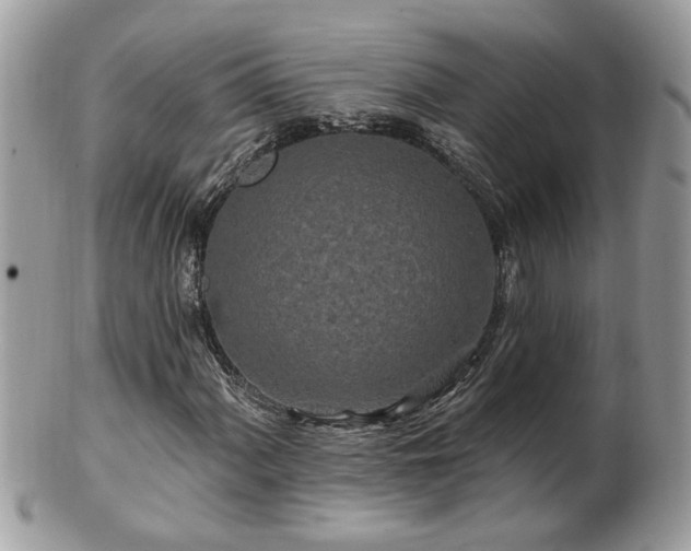 X0000100971060200807011415