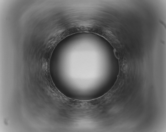 X0000100971061200807011415
