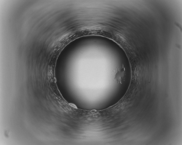 X0000100971062200807011415