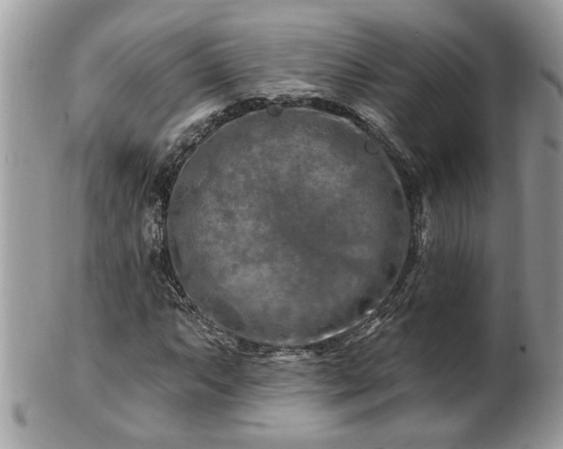 X0000100971063200807011415