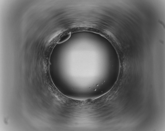 X0000100971064200807011415