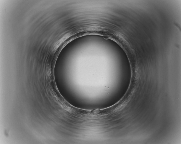 X0000100971065200807011415