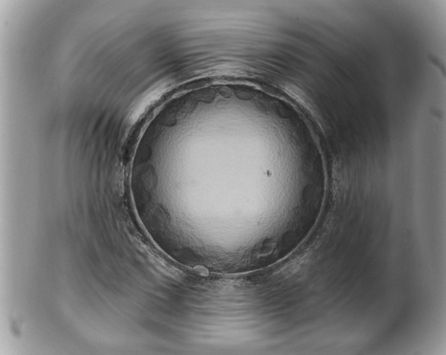 X0000100971067200807011415