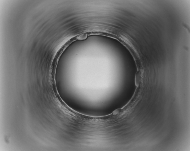 X0000100971068200807011415
