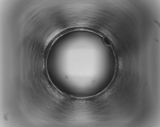 X0000100971069200807011415