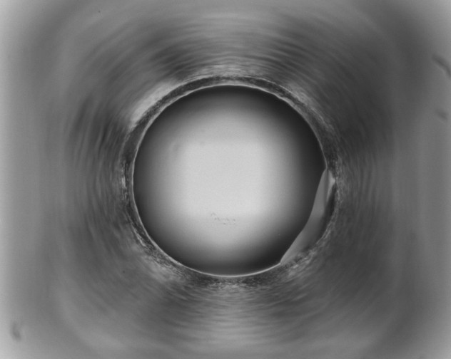 X0000100971070200807011415