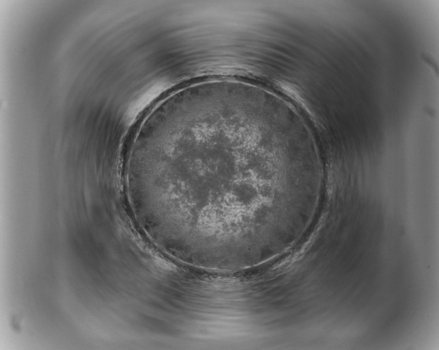 X0000100971071200807011415
