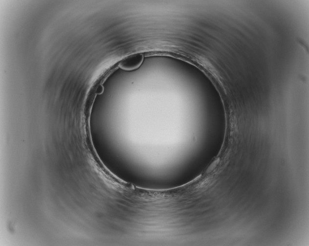 X0000100971072200807011415