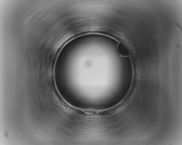 X0000100971073200807011415