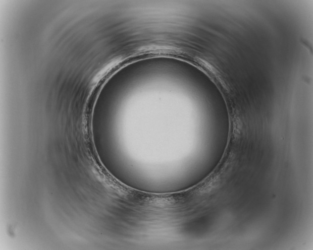 X0000100971074200807011415