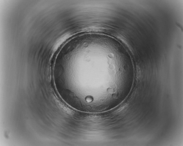 X0000100971075200807011415
