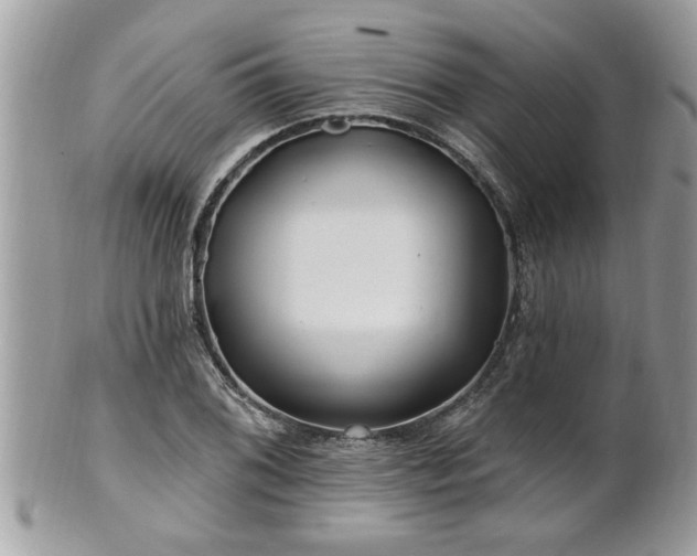 X0000100971076200807011415