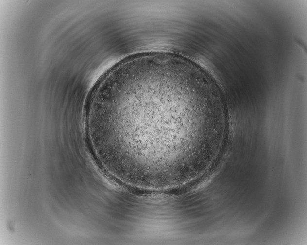 X0000100971077200807011415