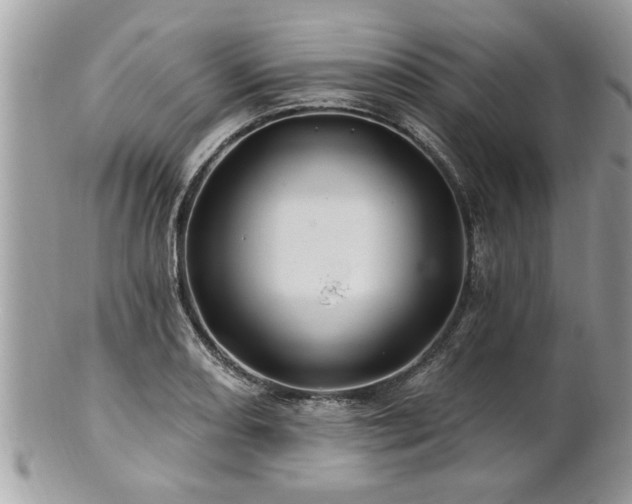 X0000100971082200807011415