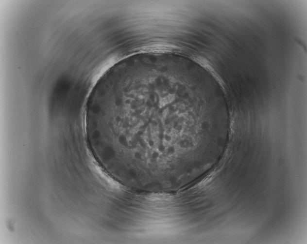 X0000100971083200807011415