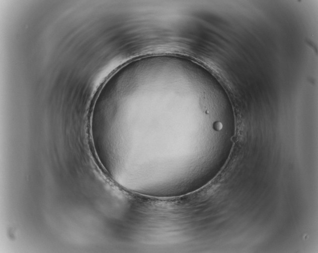X0000100971086200807011415