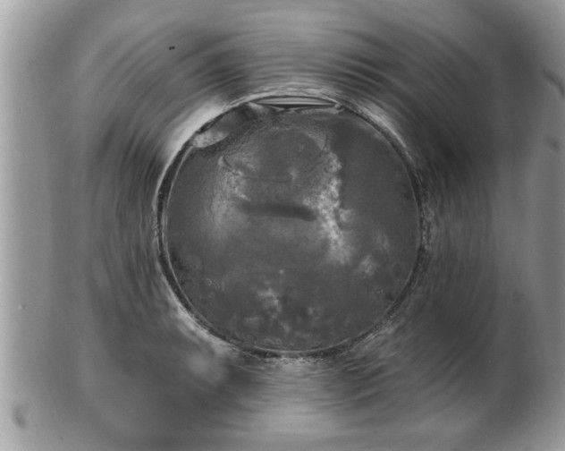 X0000100971087200807011415