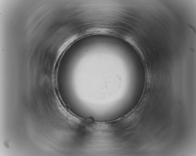 X0000100971090200807011415