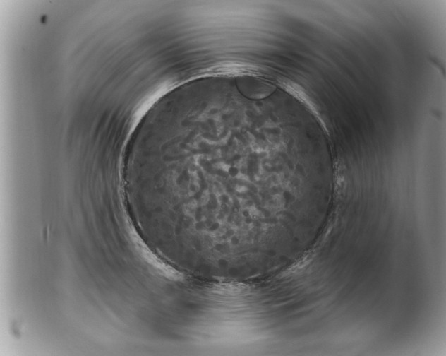 X0000100971091200807011415