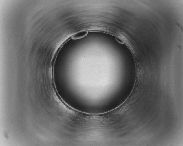 X0000100971092200807011415