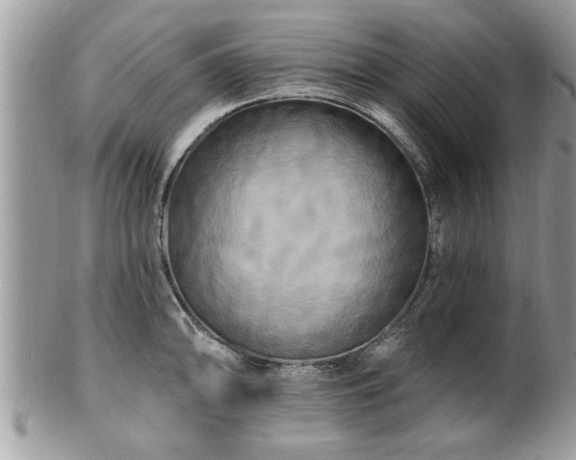 X0000100971094200807011415