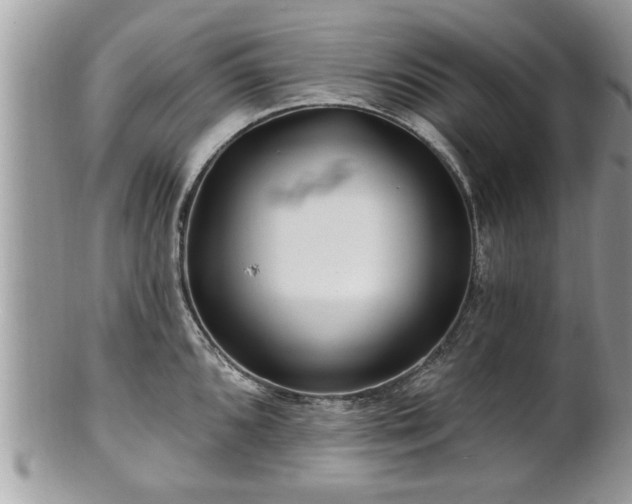 X0000100971096200807011415