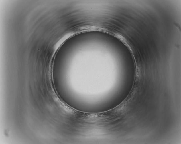 X0000100971098200807011415