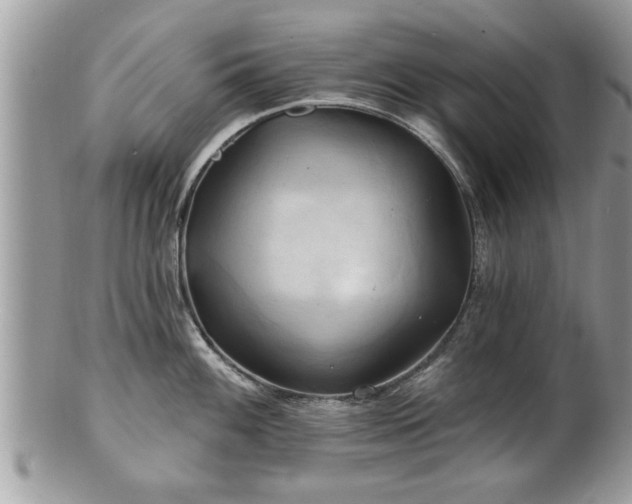 X0000100971100200807011415