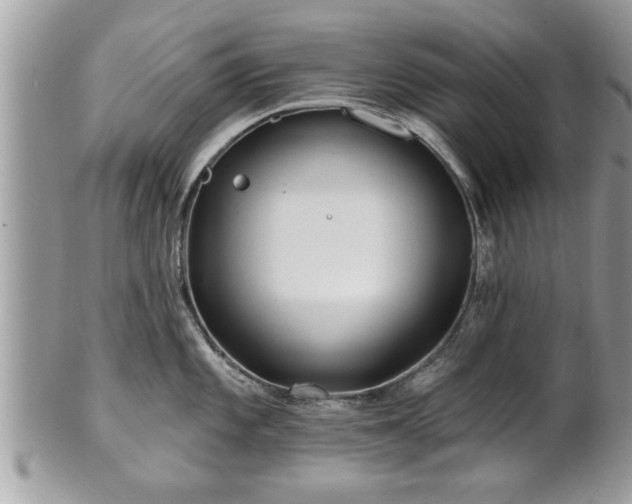 X0000100971101200807011415