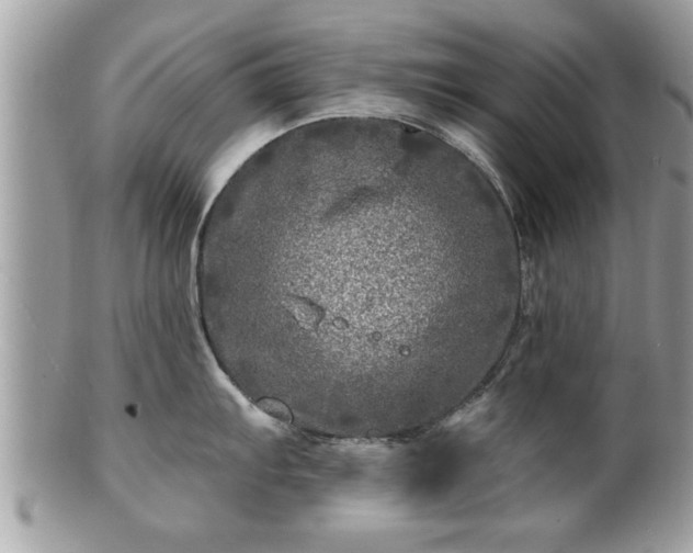 X0000100971103200807011415