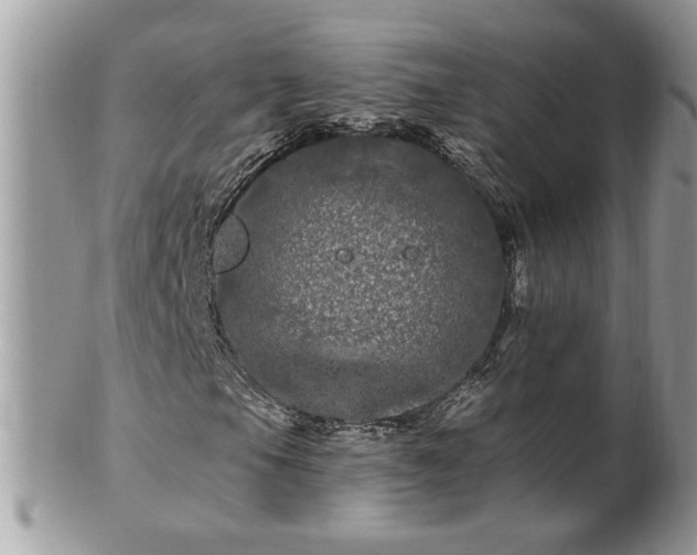 X0000100971105200807011414